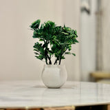 Miniature Tree planter for Home and Office Decor - My Store