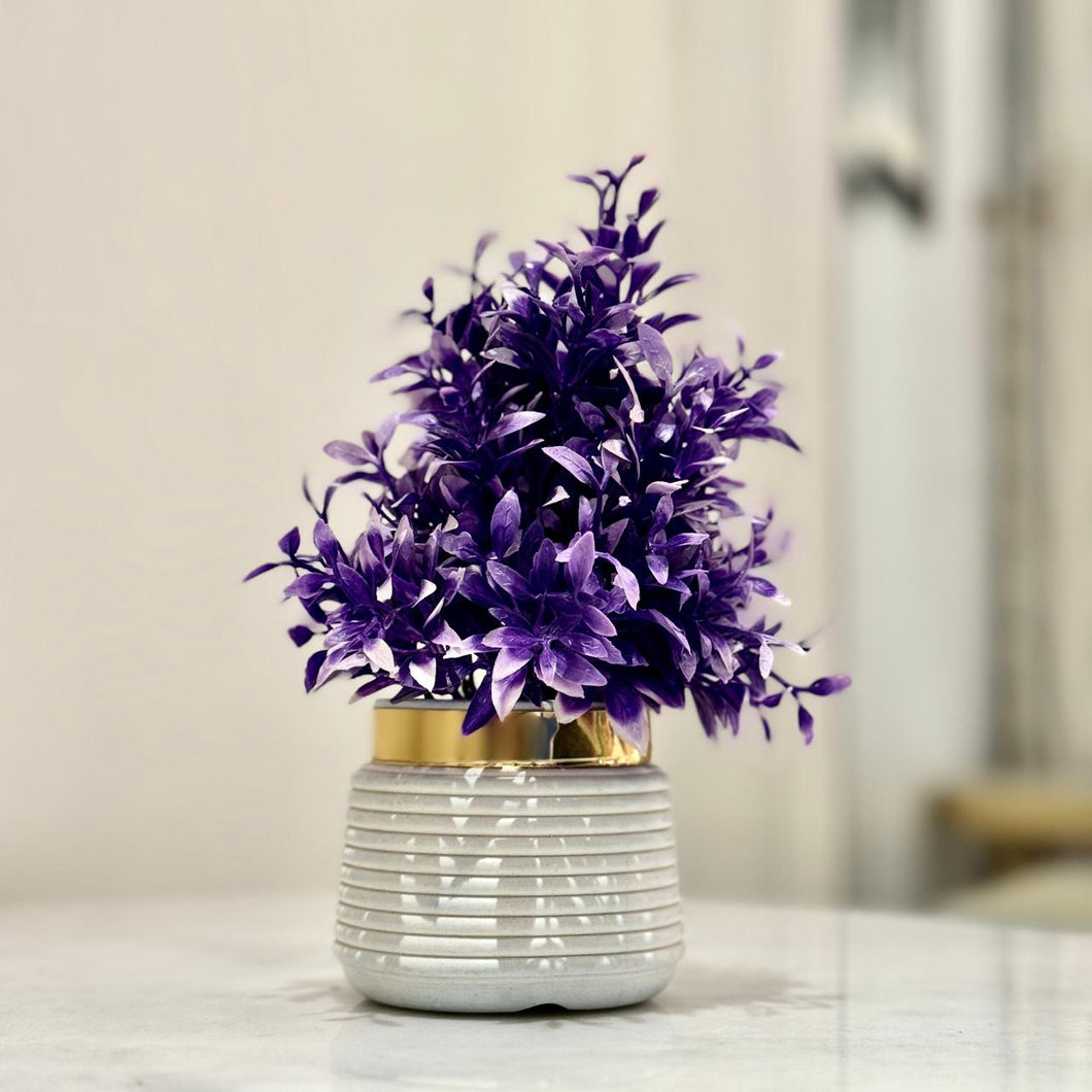 Miniature Tree planter for Home and Office Decor (Purple Color) - My Store