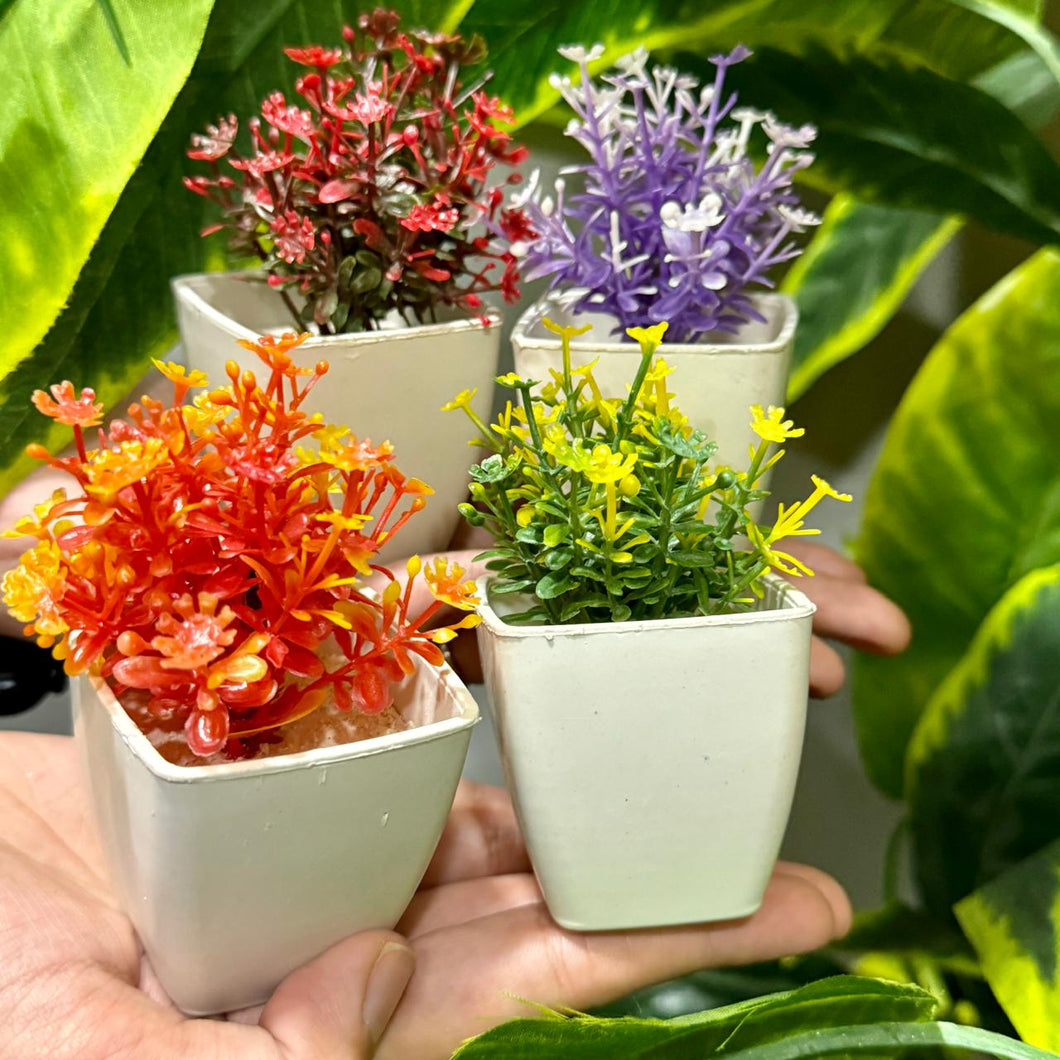 Set of 4 Mini Cute plants - My Store